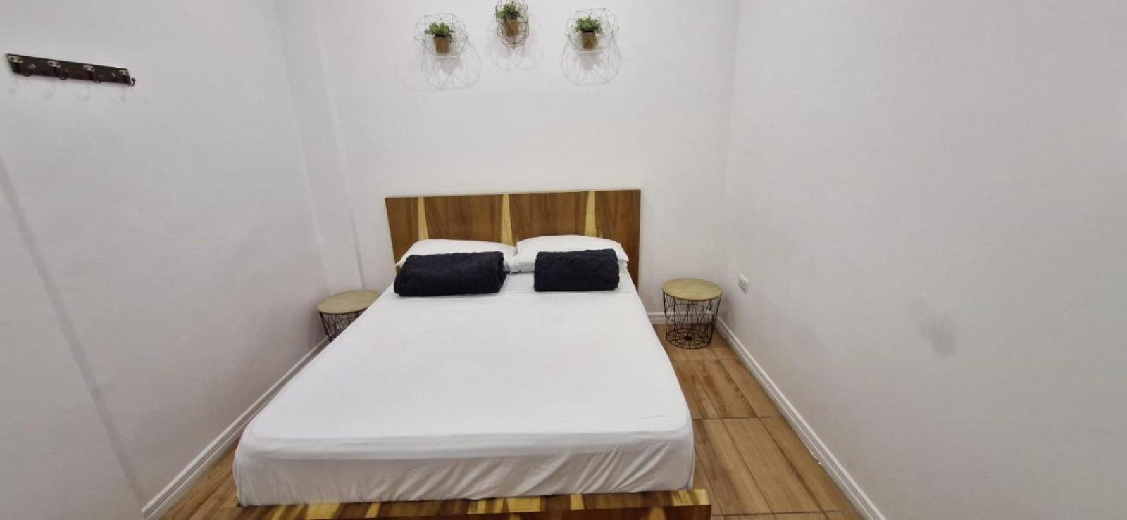Three House Hostel Boutique Filandia Exterior photo
